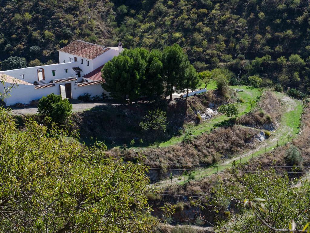 Olías Cortijo Juan Salvadorゲストハウス エクステリア 写真