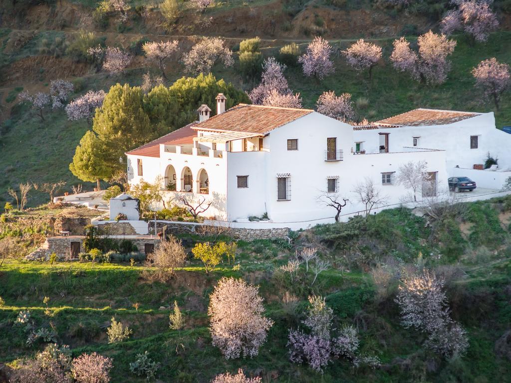 Olías Cortijo Juan Salvadorゲストハウス エクステリア 写真