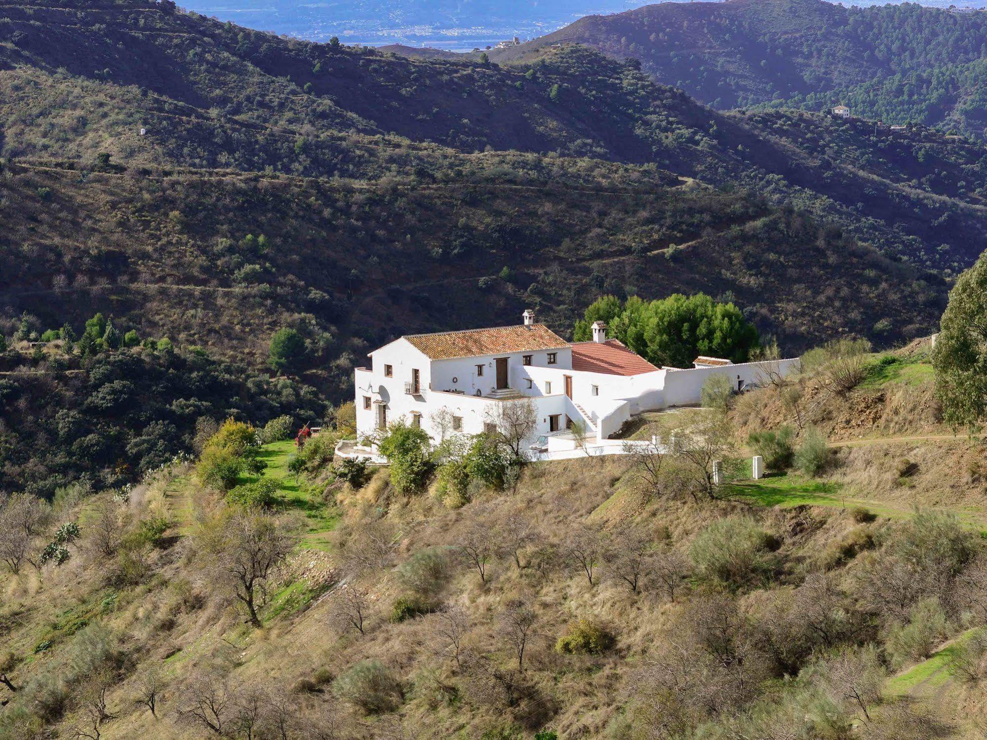 Olías Cortijo Juan Salvadorゲストハウス エクステリア 写真
